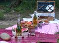 picnic pasteque
